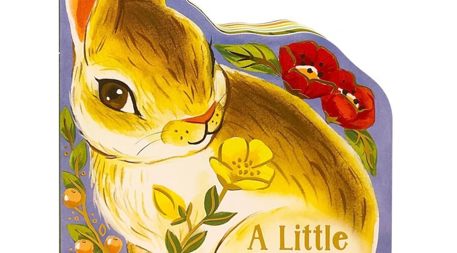 Hopping into Reading: A Review of A Little Bunny