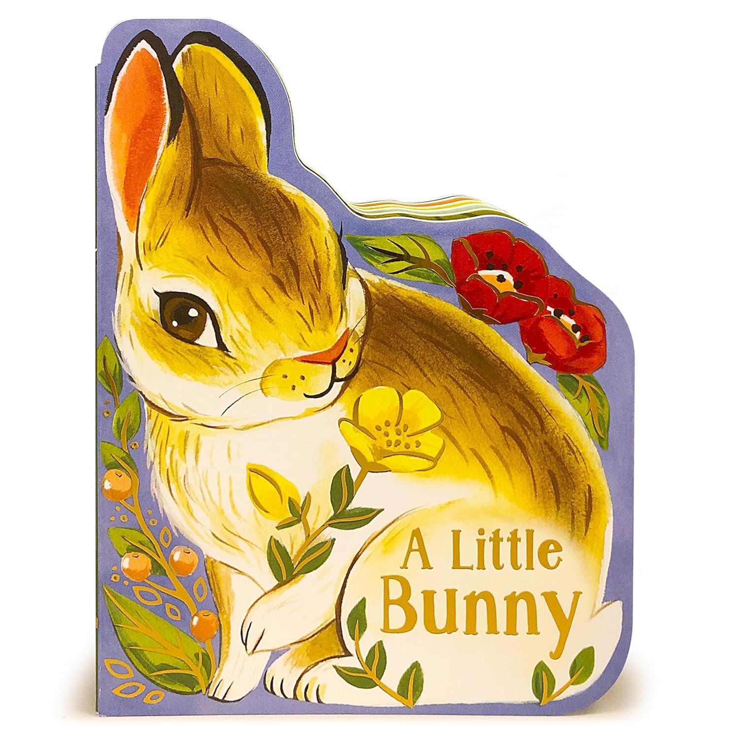 You are currently viewing Hopping into Reading: A Review of A Little Bunny