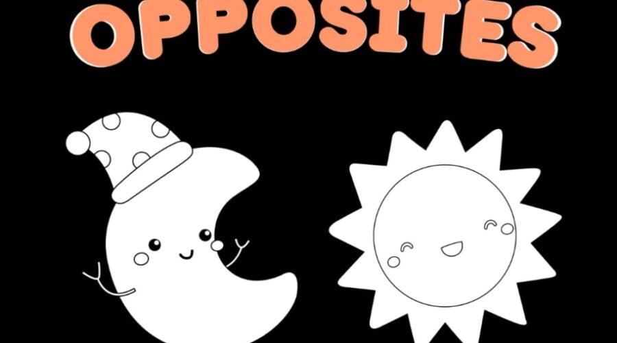 Opposites Attract: A Bilingual Baby Adventure in High Contrast!