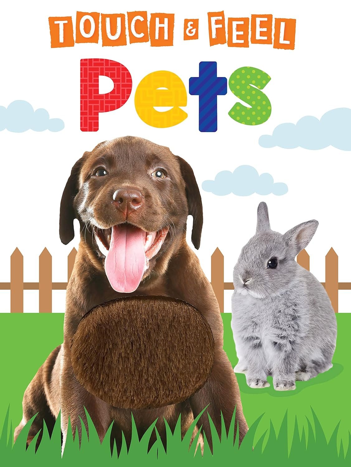 Read more about the article Paws and Tales: A Delightful Dive into the World of Pets