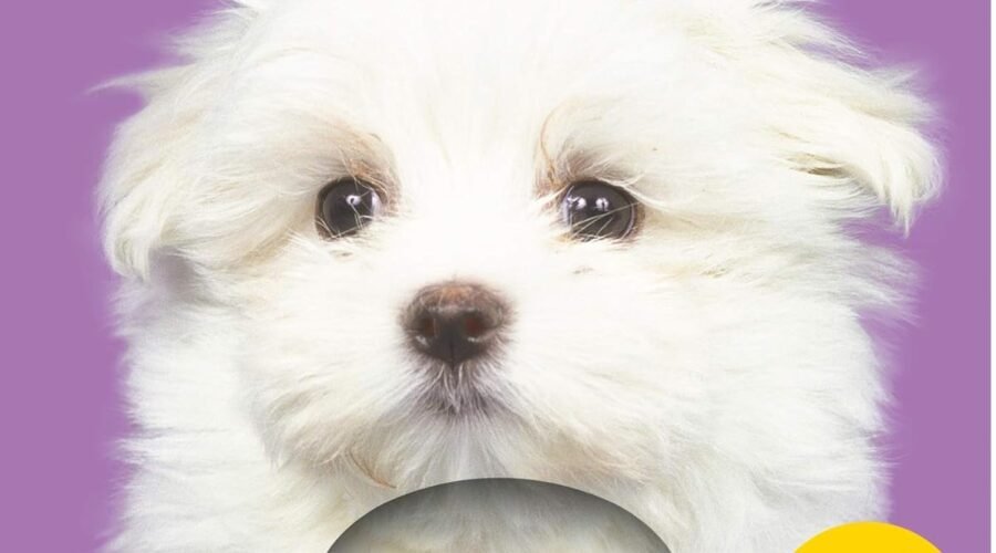 Pawsitive Touch: Exploring Perfect Pets in a Sensory Adventure