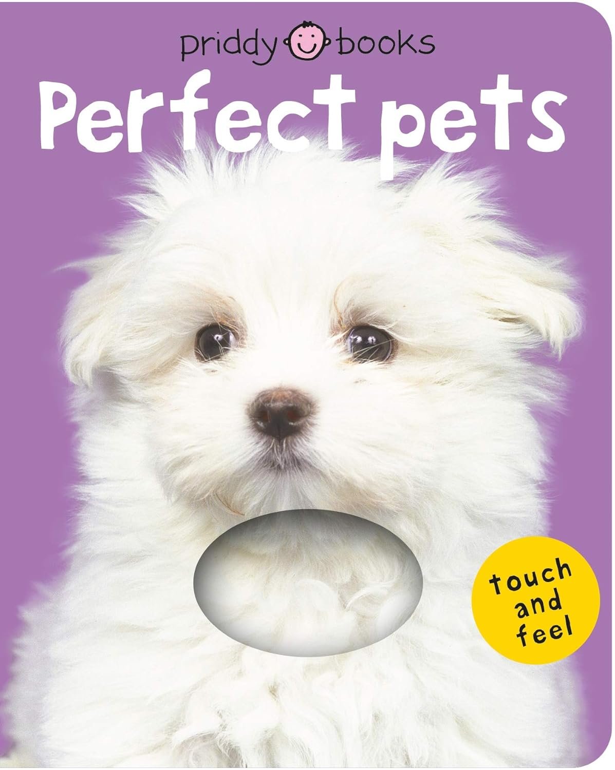 Read more about the article Pawsitive Touch: Exploring Perfect Pets in a Sensory Adventure