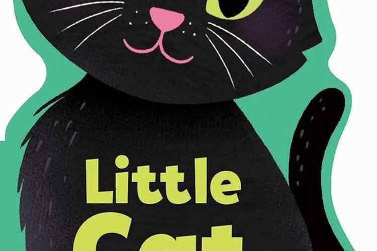 Whiskers and Wonders: A Review of Little Cat