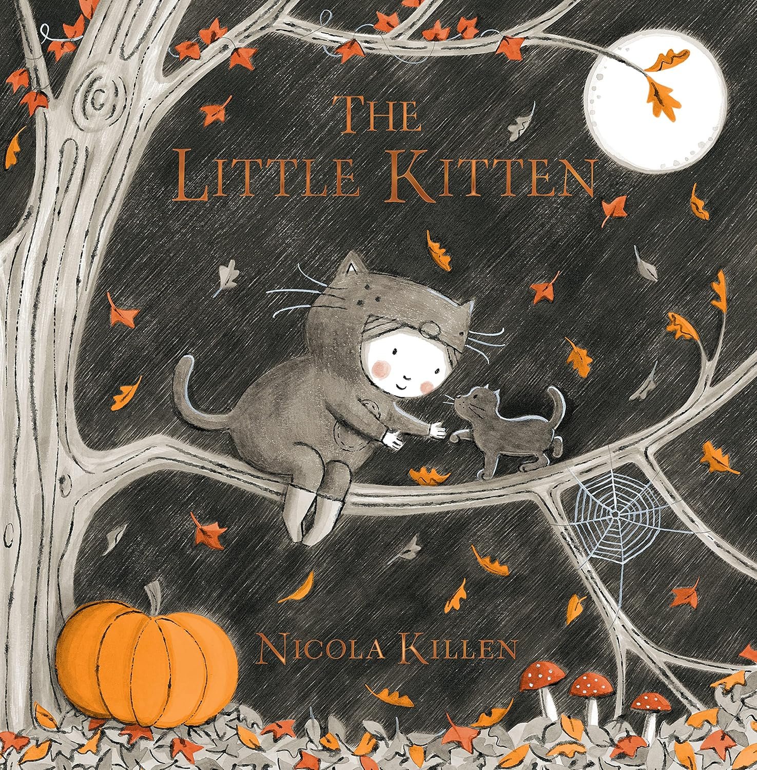 You are currently viewing Whiskers and Wonders: A Review of The Little Kitten