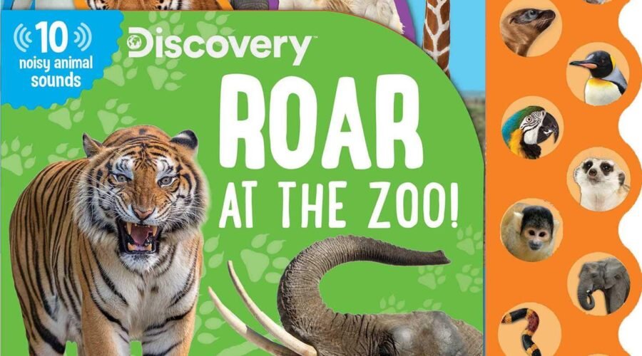 Zoo Tunes and Roars: A Fun Adventure with Discovery!